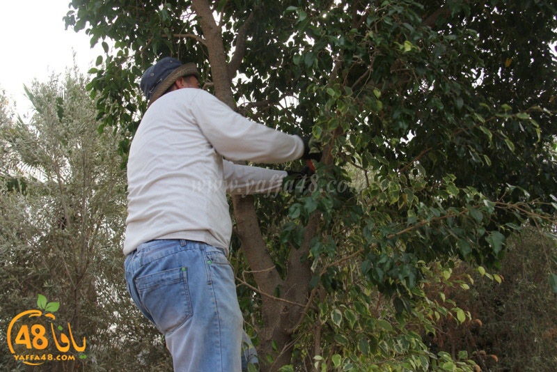 tasoooi3i1412 (3).JPG